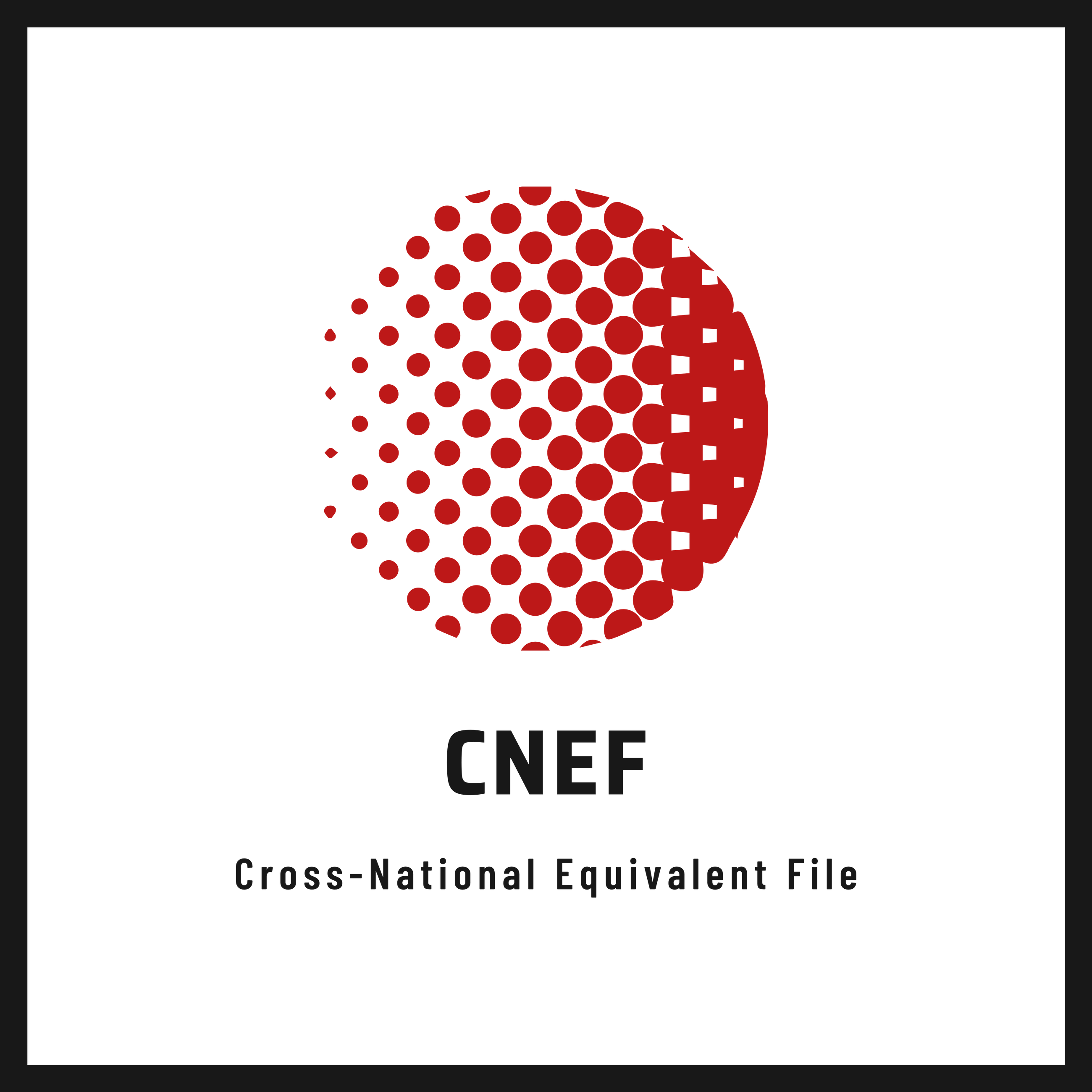 Cross National Equivalent File CNEF